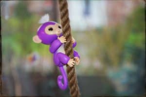 Fingerlings klettert am Seil